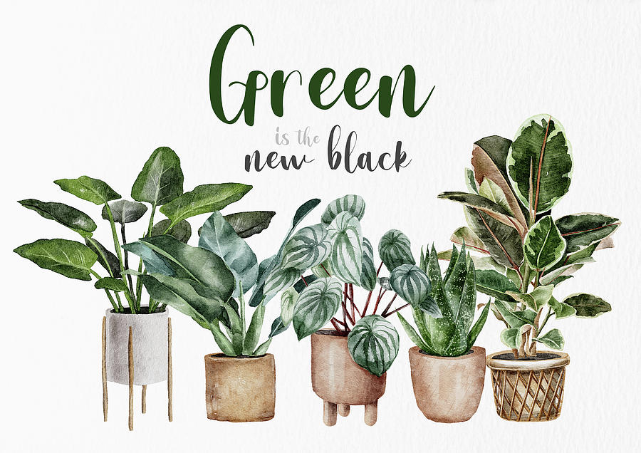Green Is The New Black Digital Art by Sambel Pedes