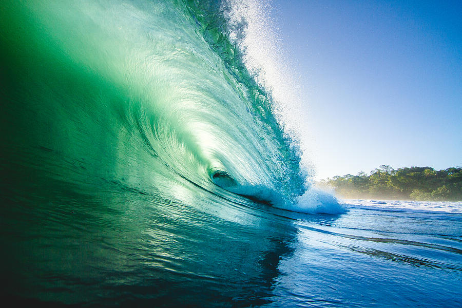 Green Jungle Wave Photograph by Photo by Joel Sharpe