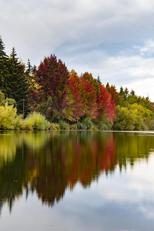 Green Lake Reflection Photograph by Matt McDonald