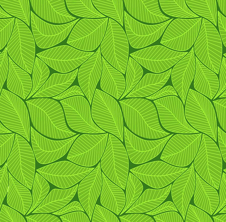 Green Leaf Backgound. Digital Art by Tom Hill