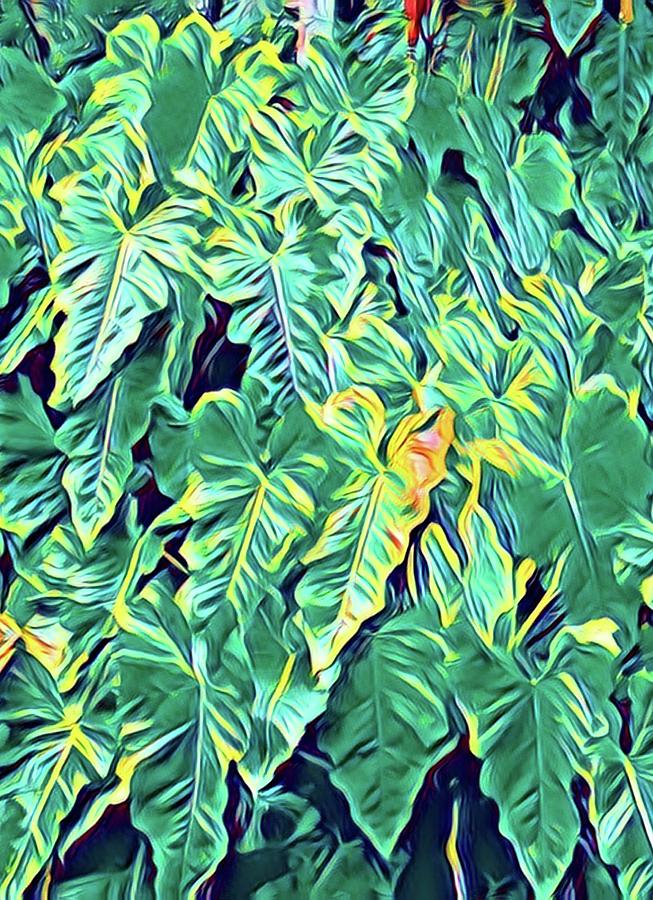 Green Leaves Aloha  Photograph by Joalene Young