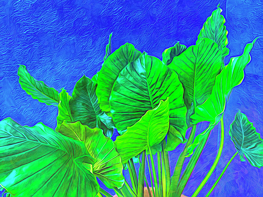 Green Leaves Blue Wall Photograph by Ann Powell