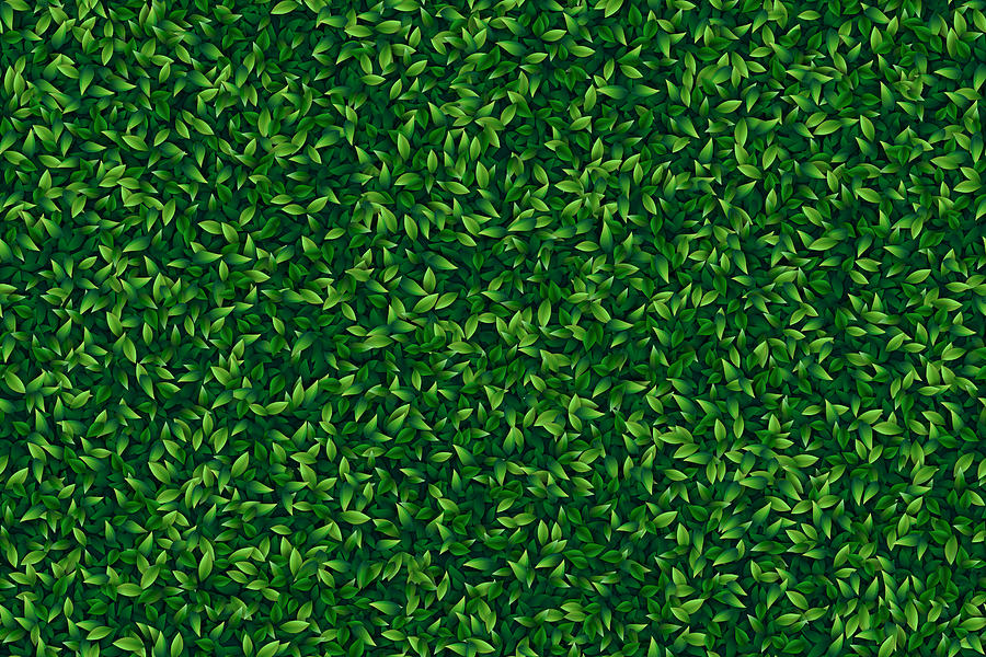 Green leaves realistic seamless background Drawing by Dimitris66