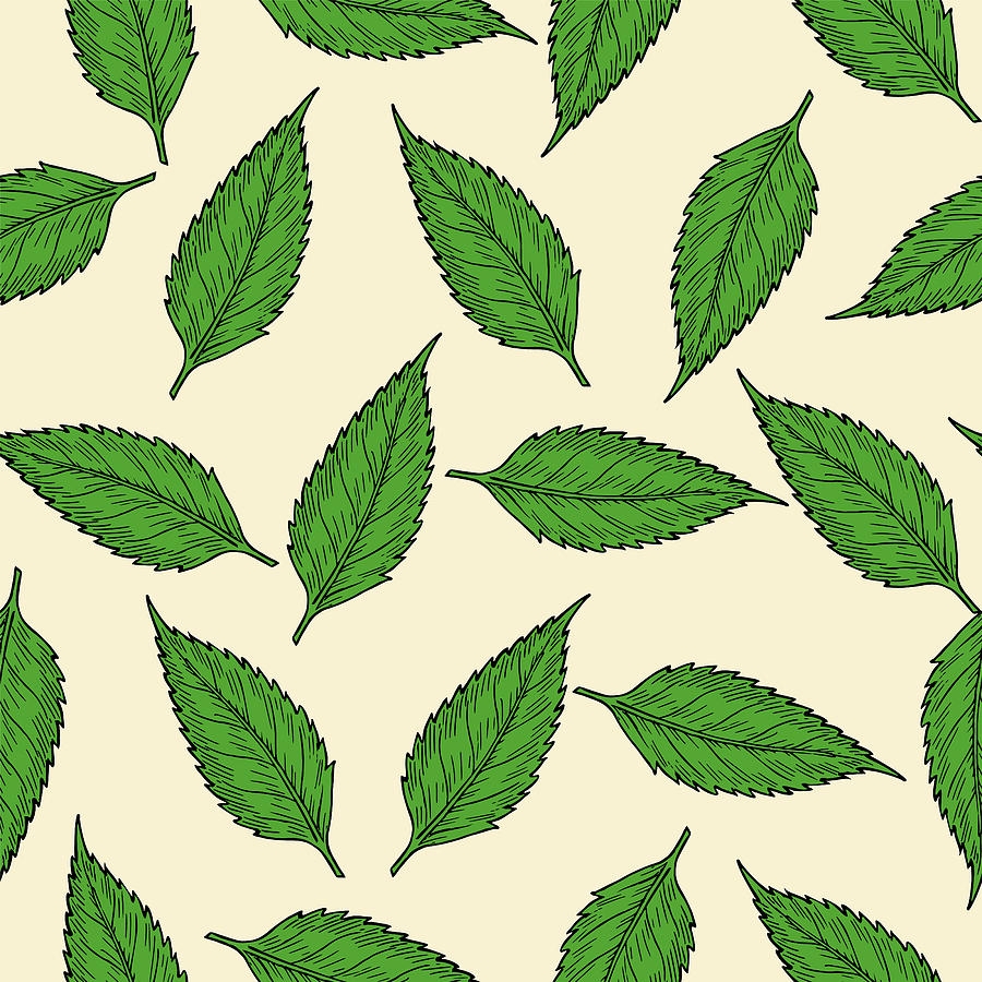 Nature Digital Art - Green Leaves Seamless Pattern Vector Image Tropical Leaves Illustration On Citrine White Background by Mounir Khalfouf