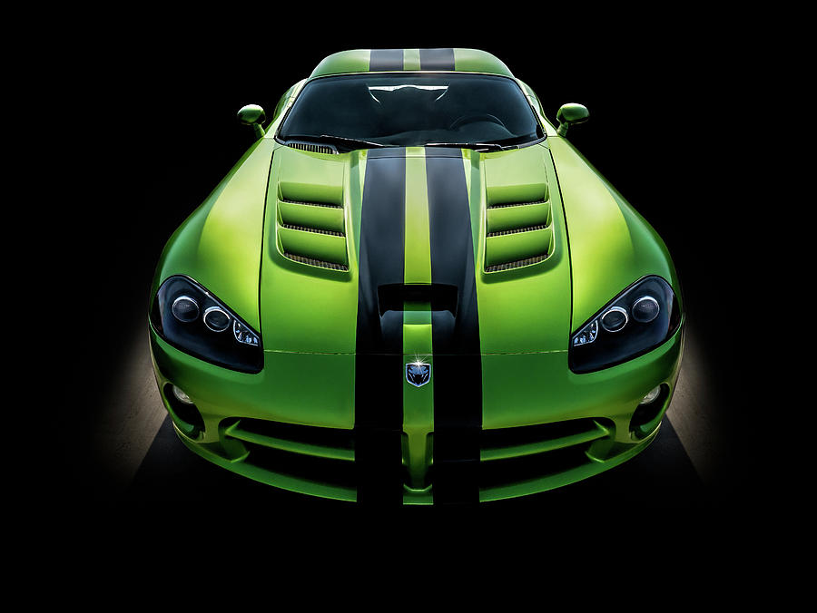 Viper Digital Art - Green Mamba by Douglas Pittman