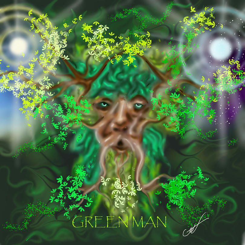 Green Man Digital Art by Clint Chroinister - Fine Art America