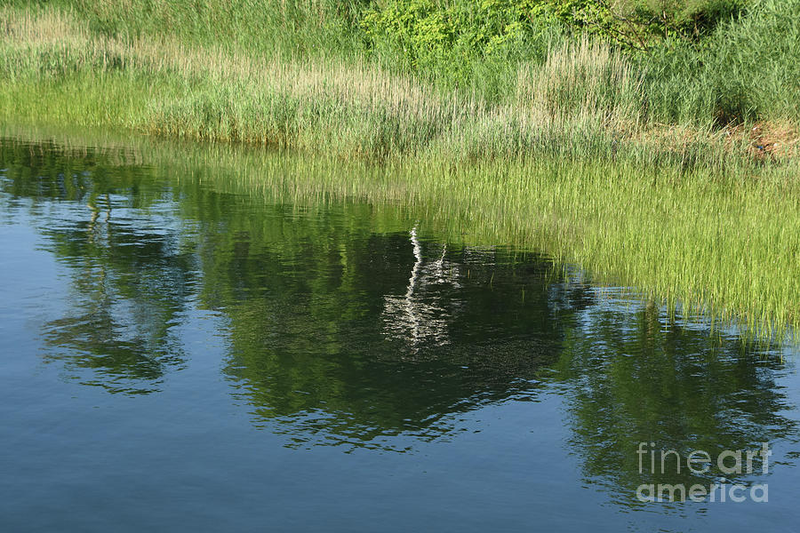 Green Marsh Grass Reflecting In The Ocean Photograph By Dejavu Designs Fine Art America