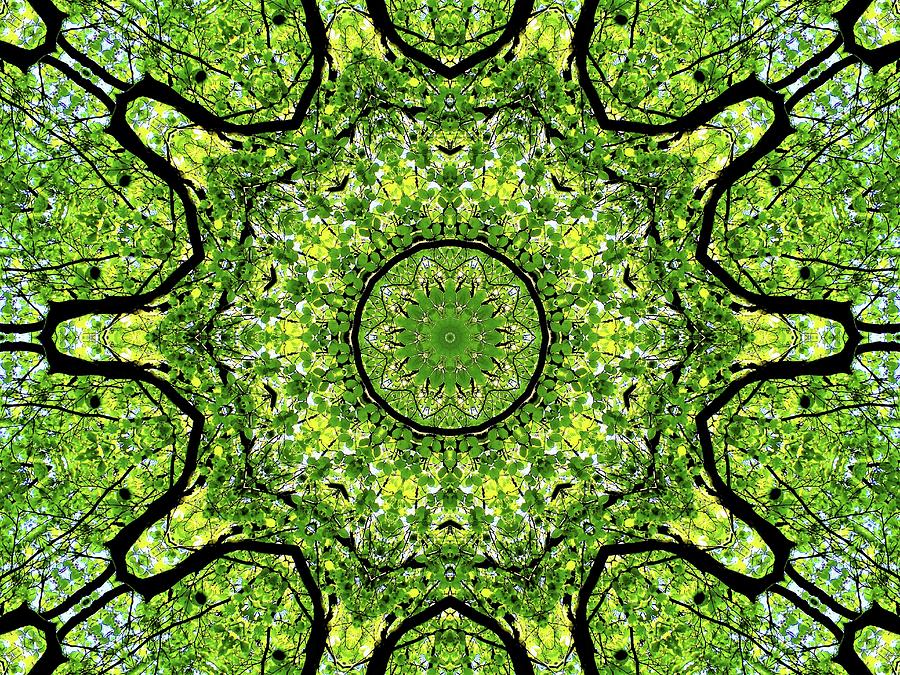 Green Maze Digital Art by Misty Me - Fine Art America