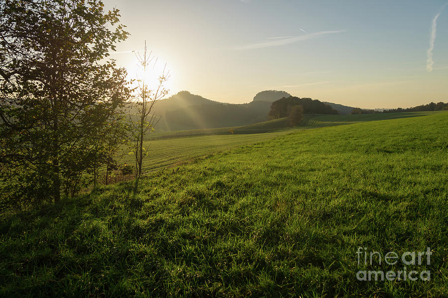 Green meadow and golden light 3 Photograph by Adriana Mueller