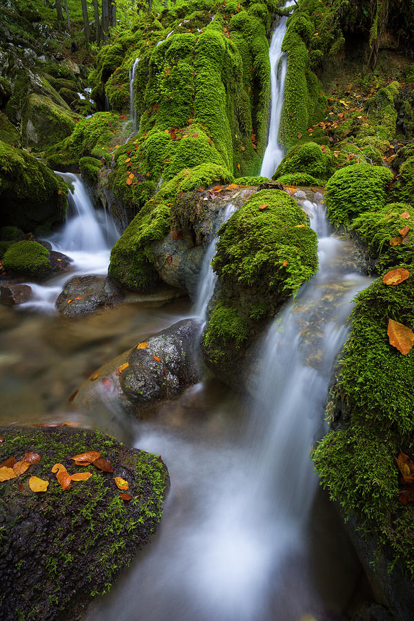 Green moss and waterfalls Photograph by Cosmin Stan