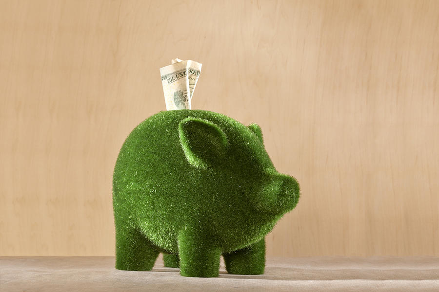 Green moss piggy bank with money in it Photograph by Tooga