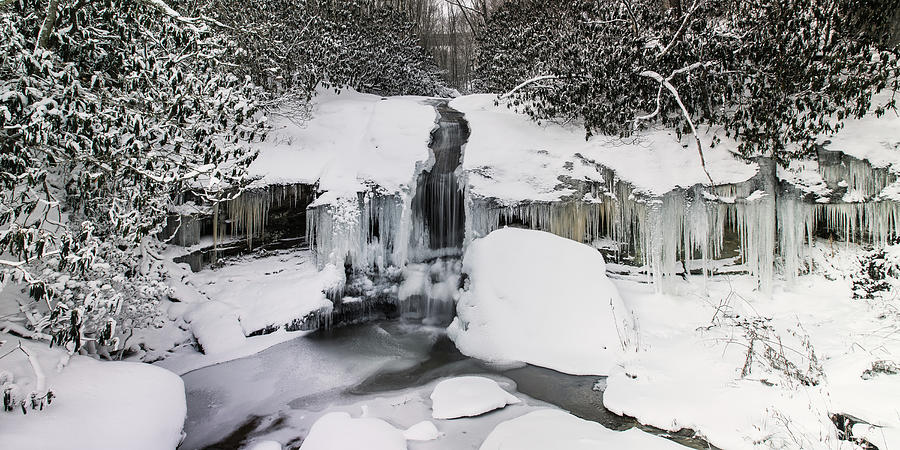 Green Mountain Falls, Turned White Photograph by Joseph Hawk