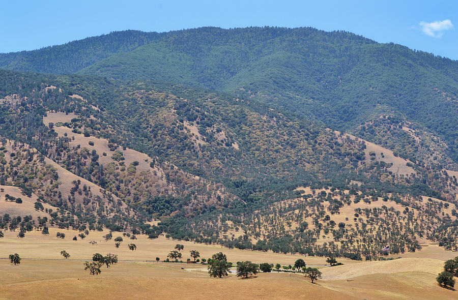Green Mountain Golden Valley California Photograph by Gaby Ethington