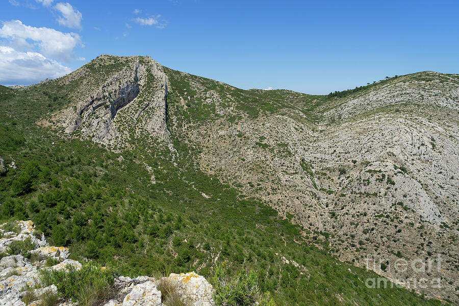Green mountain landscape, peak of the Castell dAixa Photograph by Adriana Mueller Green mountain landscape, peak of the Castell dAixa Photograph by Adriana Mueller