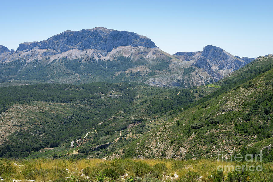 Green Mountain Landscape, Sierra De Bernia Photograph