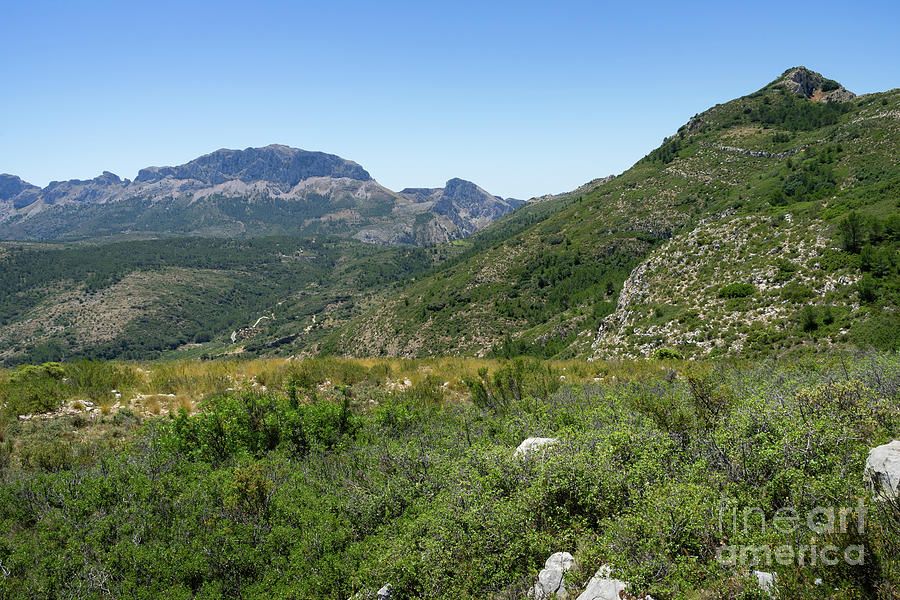 Green Mountain Landscape, Sierra De Bernia Y Ferrer Photograph
