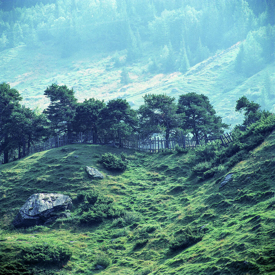 Green Mountain Pastures Photograph