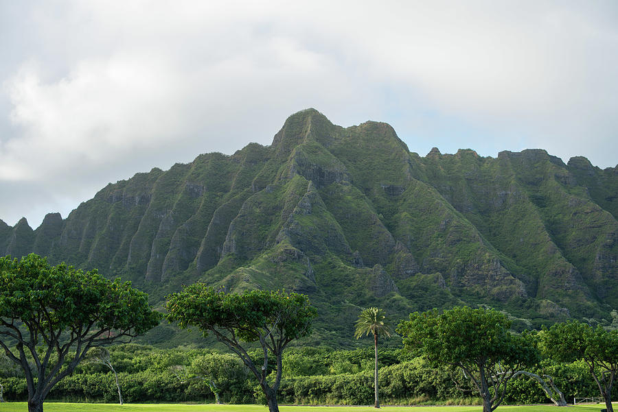 Green mountain range in Hawaii with amazing ridge line Photograph by ...