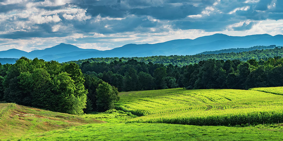 Green Mountain Summer Countryside Photograph by Alan L Graham