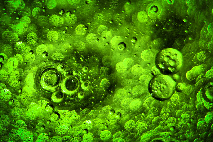 Green Oil and Water Macro Abstract Photograph by Stuart Litoff