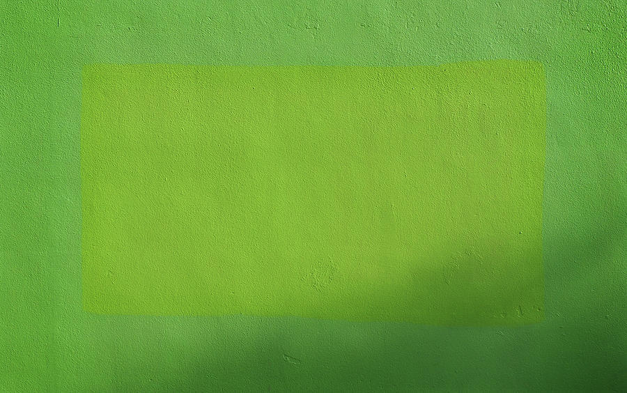 Green on green Photograph by Luz Resto