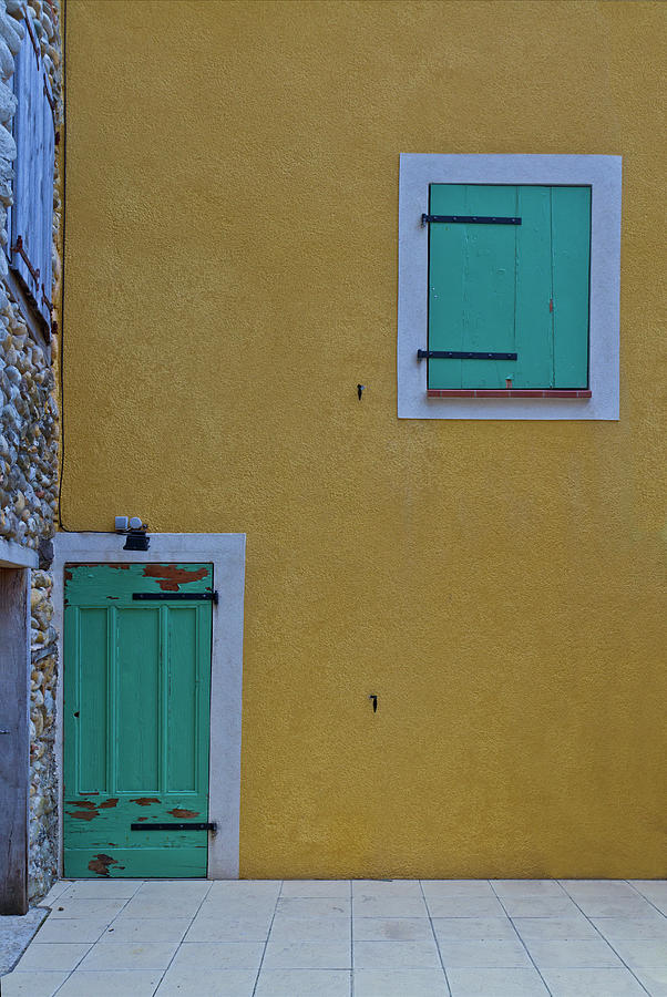 Green on yellow ochre Photograph by Roberto Pagani