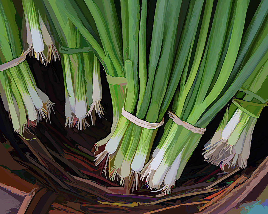 Green Onions at a Farmers Market in Acrylic Photograph by Alan Goldberg