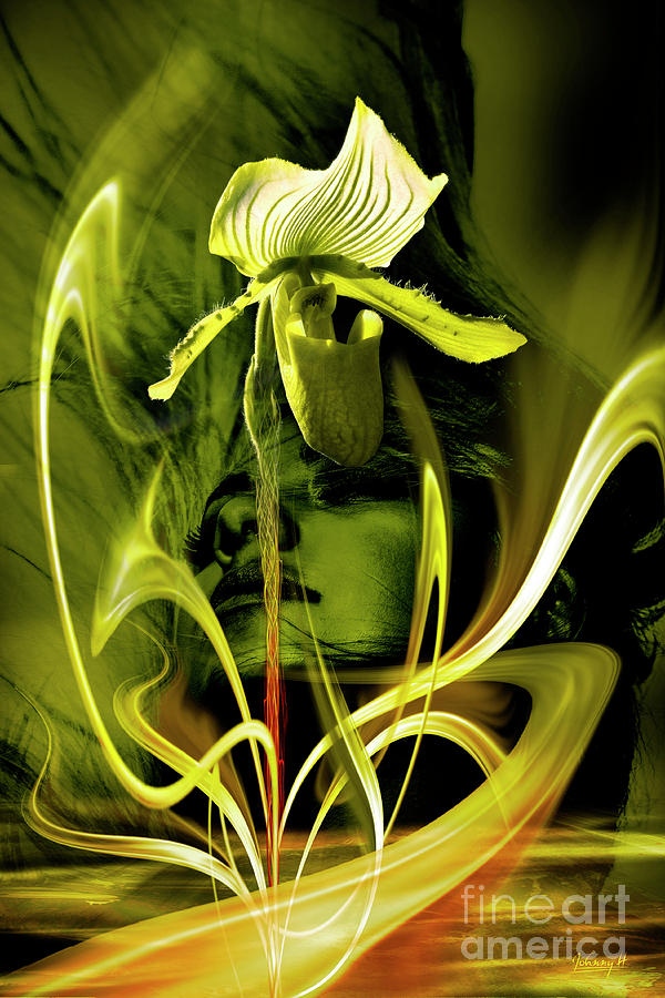 Green orchid Digital Art by Johnny Hildingsson
