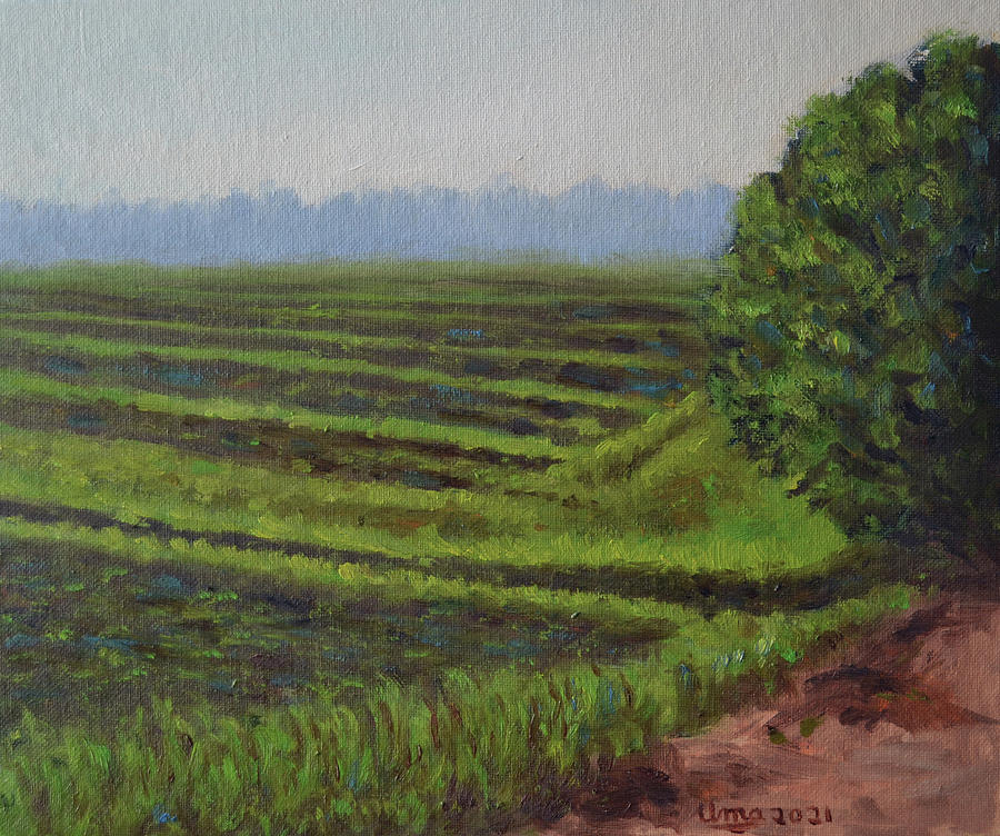 Green Paddy Fields Painting by Uma Krishnamoorthy