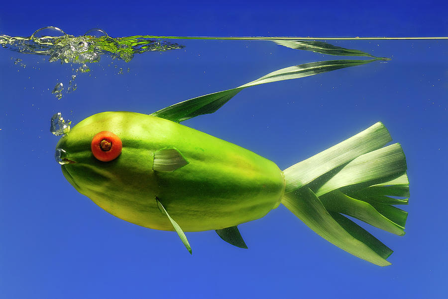Green Papaya Fish Photograph by Cacio Murilo De Vasconcelos