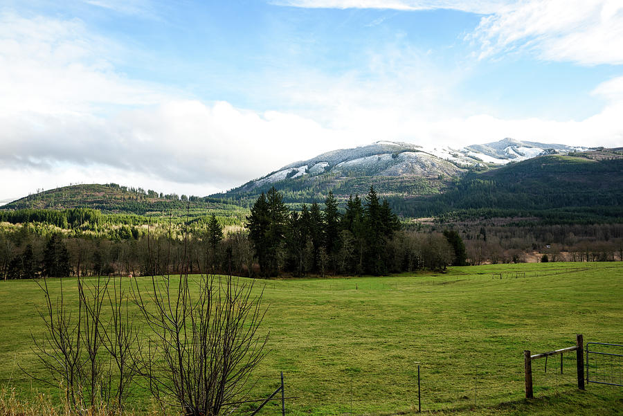 Green Pasture and Snowy Hills Photograph by Tom Cochran