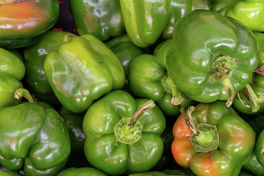 Green Peppers at Market Photograph by Bradford Martin