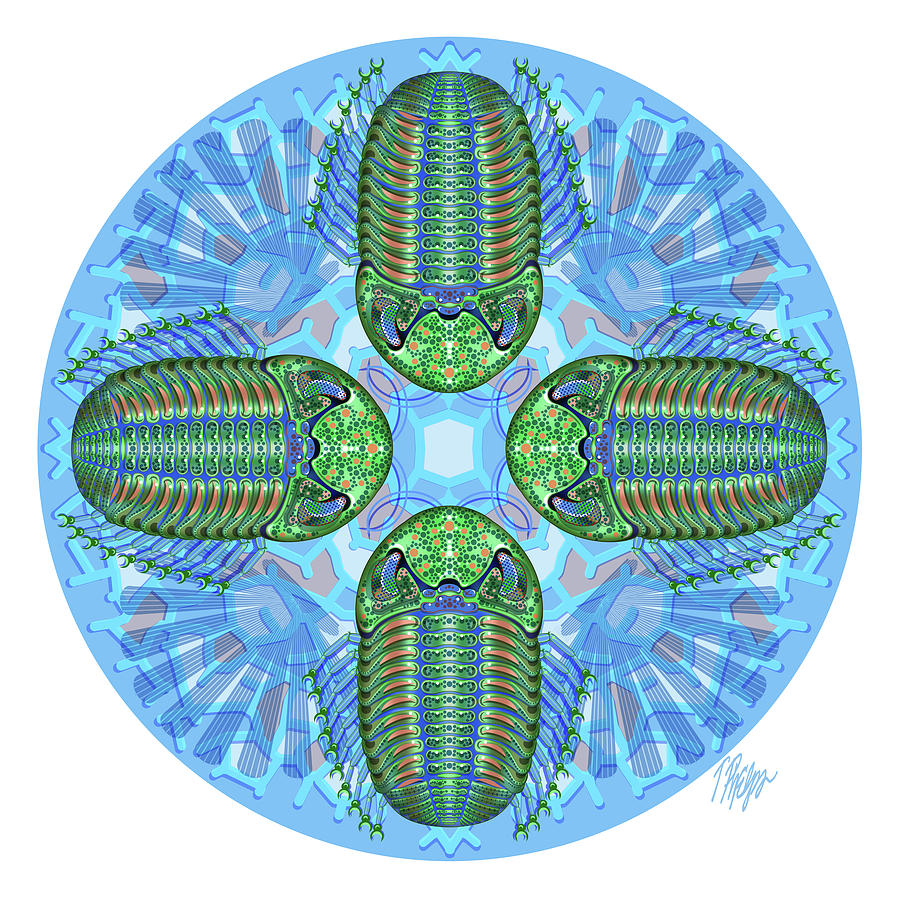 Green Phacops Trilobite Mandala Digital Art by Tim Phelps