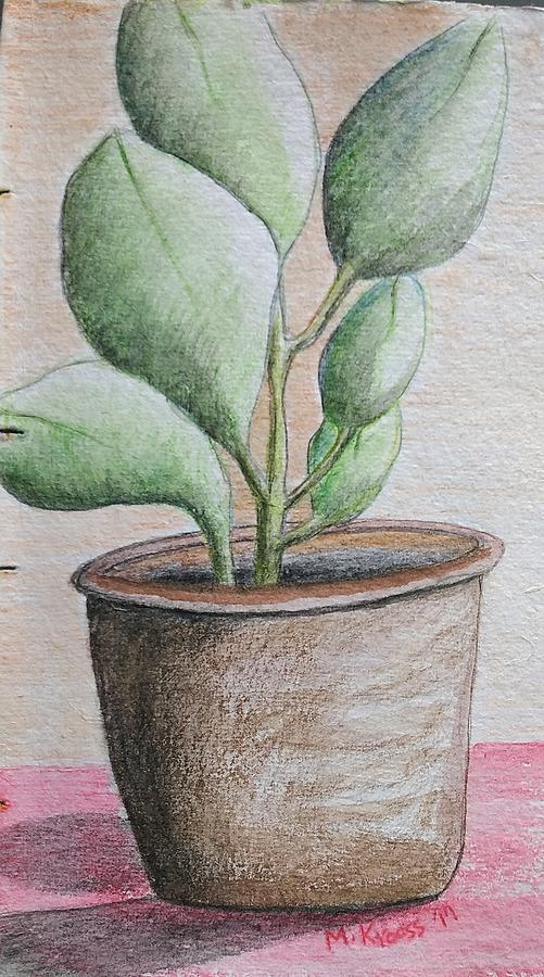 Abstract Drawing - Green Plant in Pot  by Michael Krooss