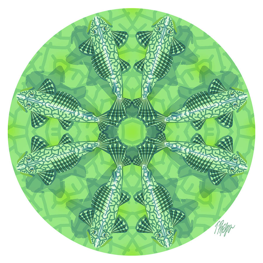 Green Plecostomus Nature Mandala Digital Art by Tim Phelps
