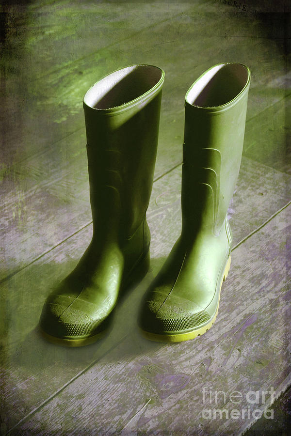 Green Rainboots in The Cabin Photograph by Nina Silver