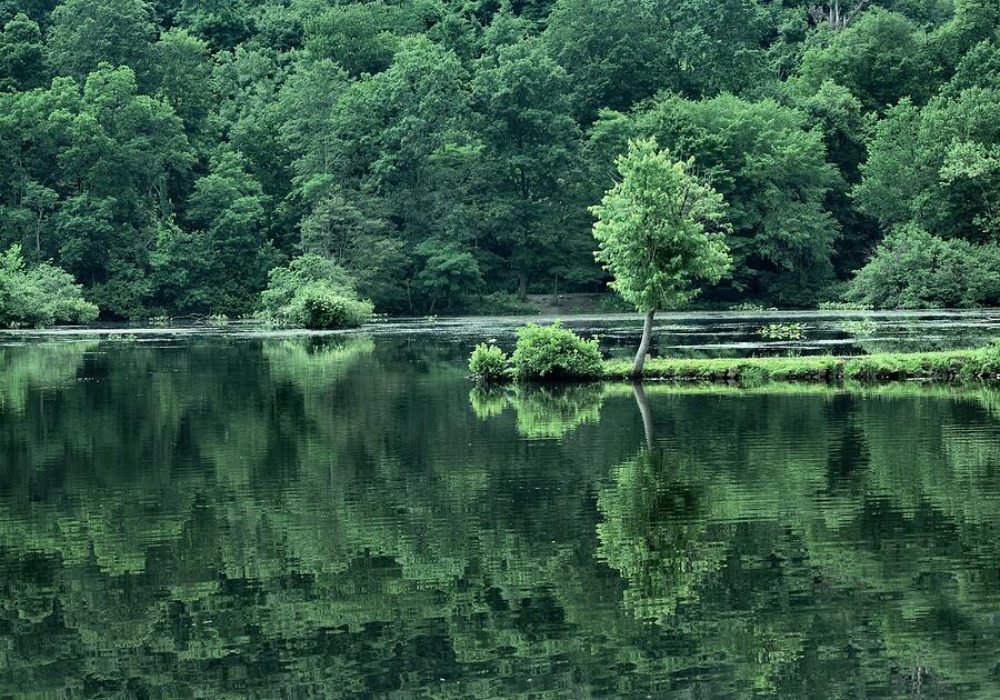 Green Reflection Photograph by Gothicrow Images - Fine Art America