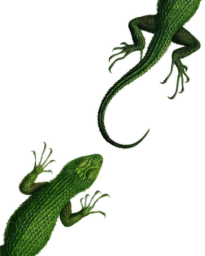 Dragon Digital Art - Green reptiles art  by Madame Memento