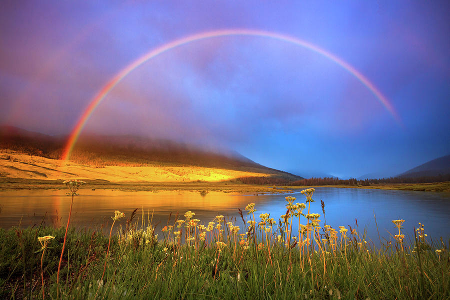Green Photograph - Green River Rainbow by Johnny Adolphson Green Photograph - Green River Rainbow by Johnny Adolphson