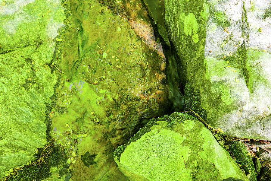 Green Rocks Abstract Photograph by Ed Williams