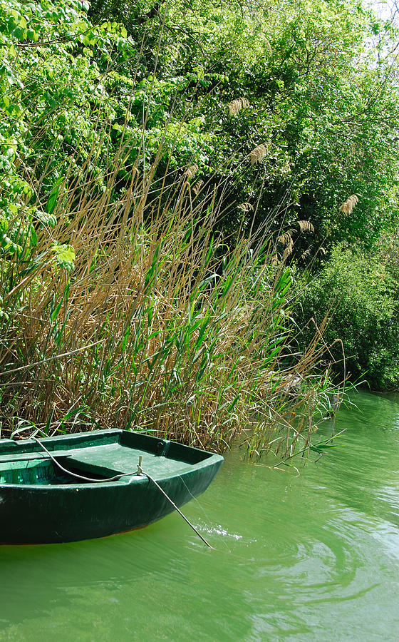 Green rowing boat on a green river Photograph by Lyn Holly Coorg