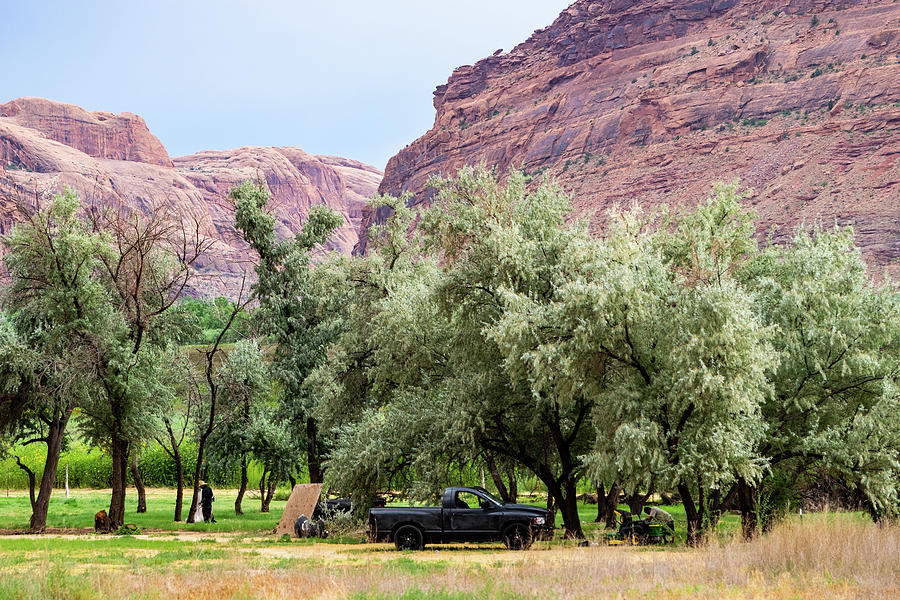 Green Russian Olives and Purple Sandstone Rocks Photograph by Tom Cochran