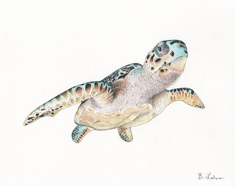 Green Sea Turtle Painting by Bob Labno