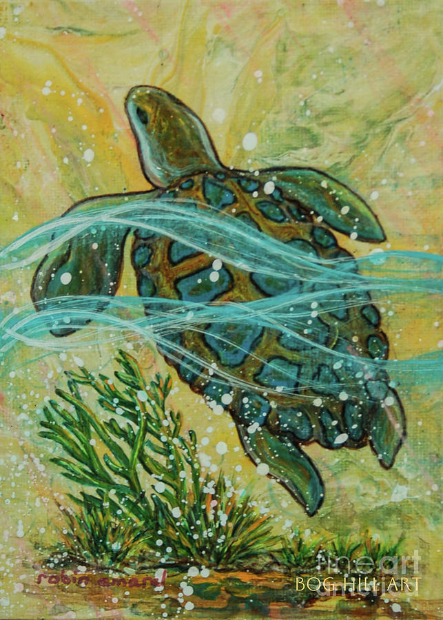 Green Sea Turtle Card Painting By Robin Amaral Fine Art America   Green Sea Turtle Card Robin Amaral 