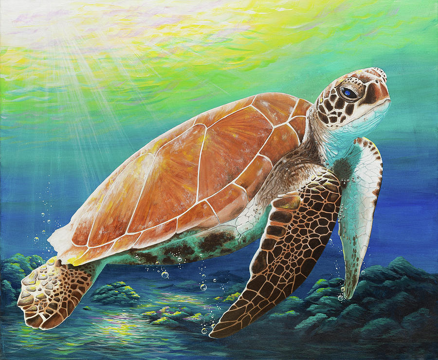 sea turtles paintings