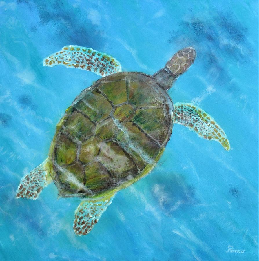 Green Sea Turtle Painting by Jeff Poncar - Fine Art America