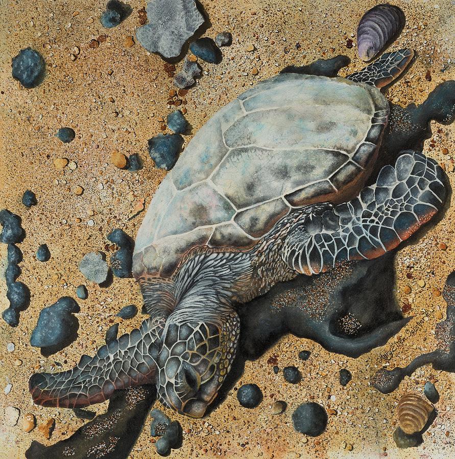 Green Sea Turtle Painting by Mary Ellen Gerster | Fine Art America