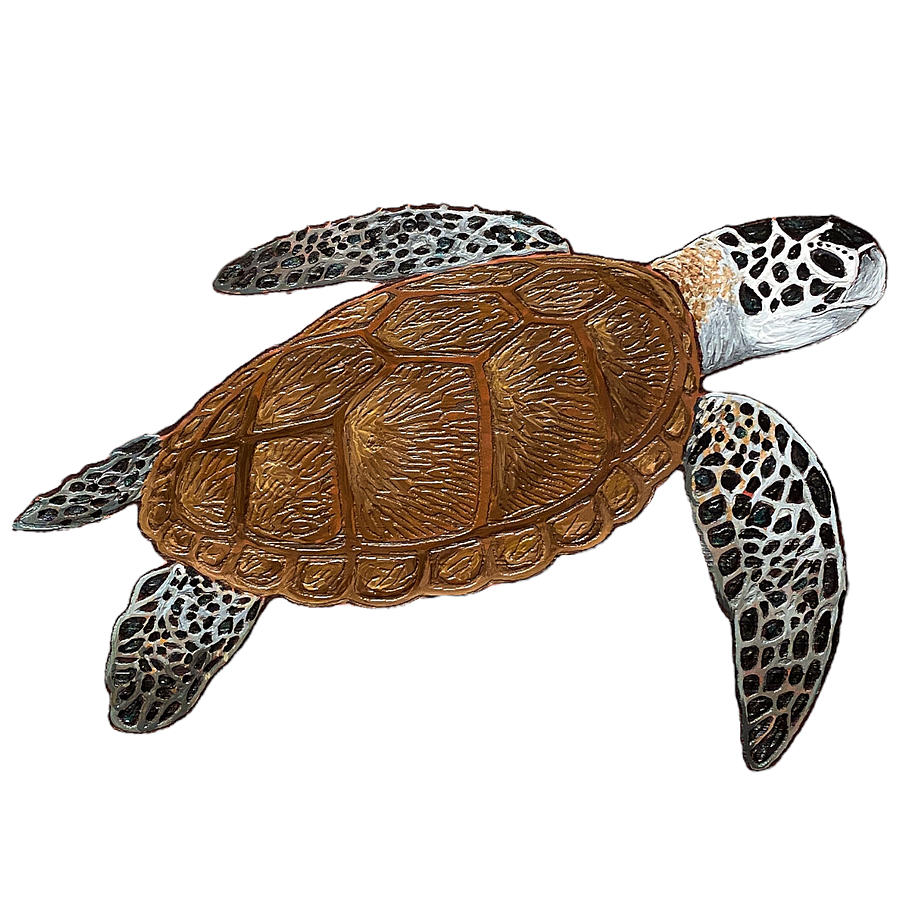 Green Sea Turtle Painting Digital Art By Sally Siko - Fine Art America