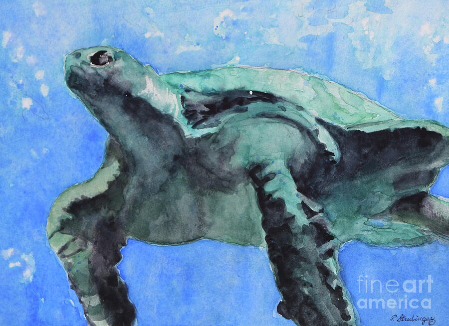 Nature Painting - Green Sea Turtle by Patty Strubinger