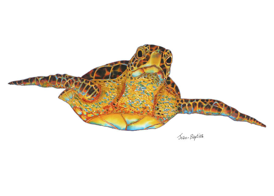 Green Sea Turtle white background Painting by Daniel Jean-Baptiste